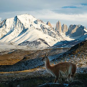 Torres del Paine desde Puerto Natales