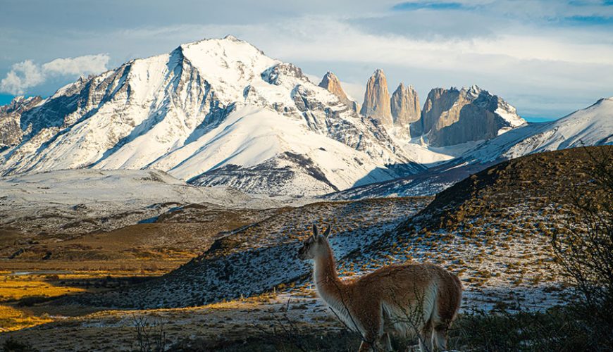 Agencia de viajes en la Patagonia Chilena y Argentina