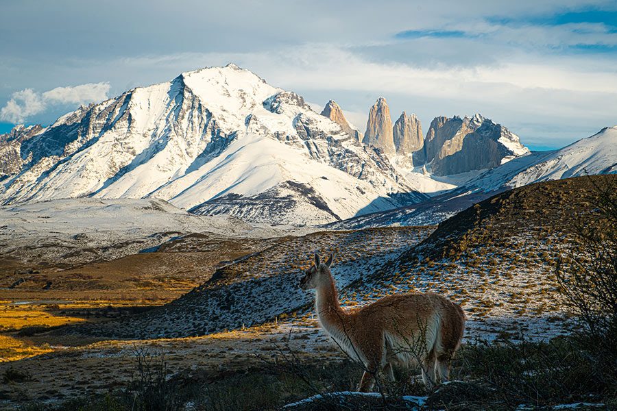 Full day Torres del Paine desde Puerto Natales