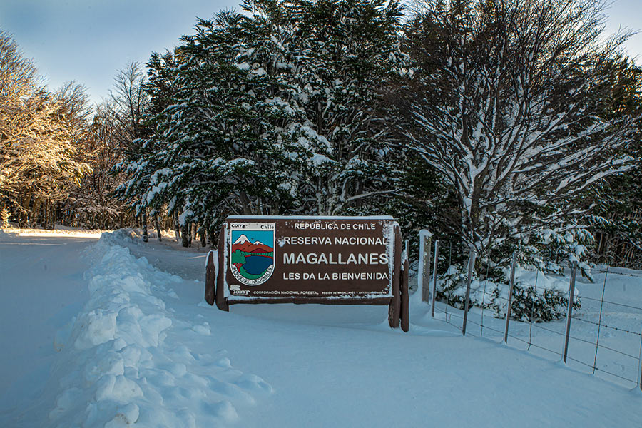 Magallanes Forest Reserve