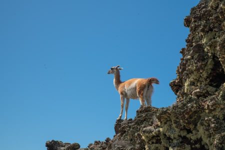 Pali Aike National Park