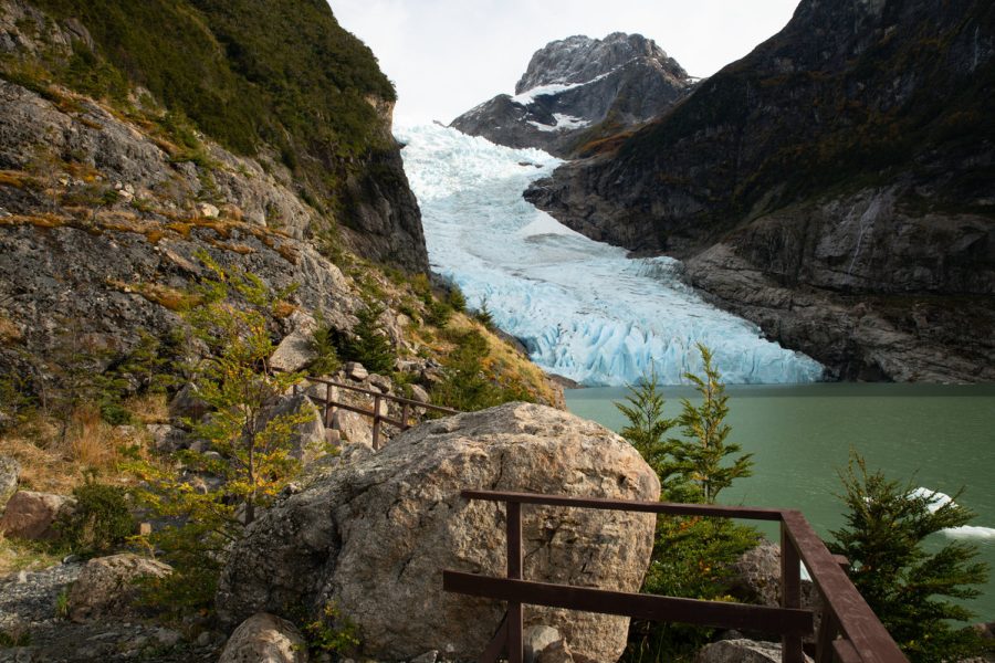 Balmaceda and Serrano Glaciers Half-Day Navigation